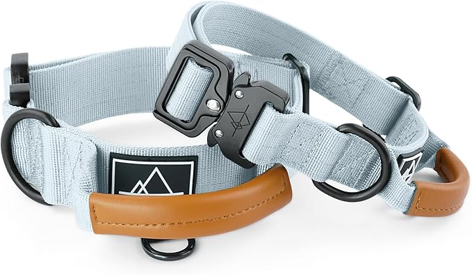 Made to ROAM Premium Explorer Control Collar - Adjustable Heavy Duty Nylon Dog Collar with Quick-Release Metal Buckle and Handle (Alaska Daybreak, Control Size 3)