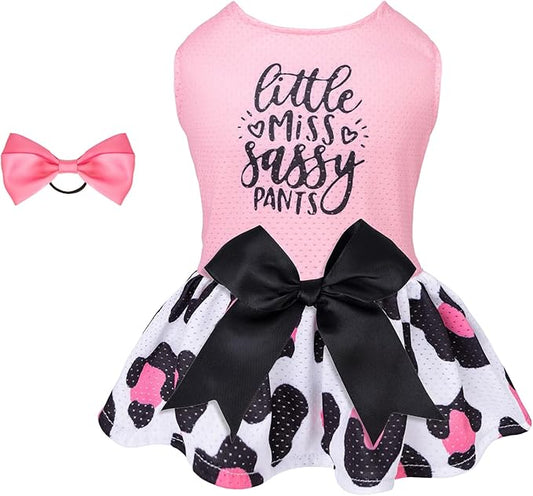 CuteBone Dog Mesh Dress Puppy Sundress Pet Outfit Summer Fashion for Small Dogs Girl Cat Clothes BF30L-D