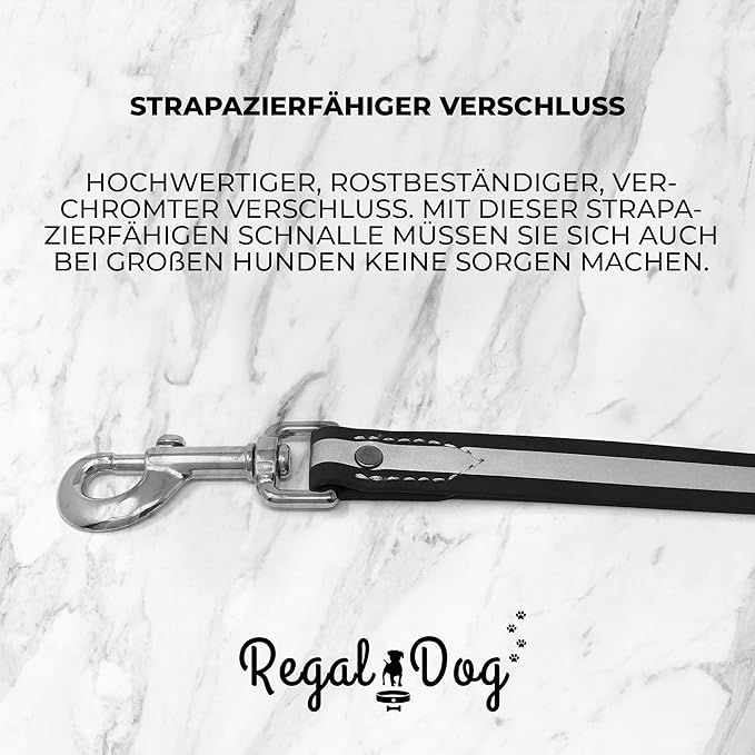 Regal Dog Products Large Orange Reflective Dog Collar and Leash Set - Waterproof Biothane Dog Collar with Heavy Duty Double Buckle, D Ring & 5ft Leash - Other Size for Medium & Large Dogs