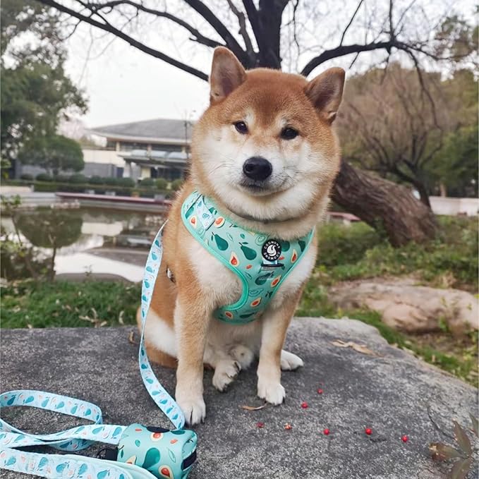 Dog Cat Harness and Leash Set, Puppia Soft Mesh Padded and Adjustable Puppy Vest Cute Dog Clothes Escape Proof Easy Walk Pet Accessories