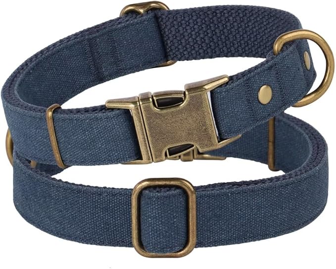 PET ARTIST Nylon Dog Collar for Large Dogs, Heavy Duty Dog Collar with Quick Release Metal Buckle, Soft Padded Nylon, Durable & Adjustable for Boy Gifts, Blue, L (Fit 15-22")