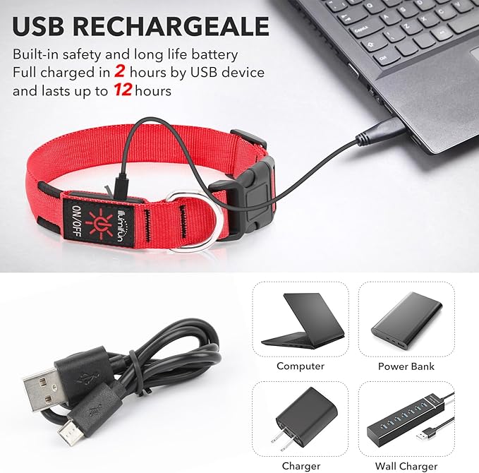 Illumifun Light Up Dog Collar - USB Rechargeable LED Dog Collar Glow in The Dark, Adjustable Pet Collar Light for Night Walking (Red, Medium)