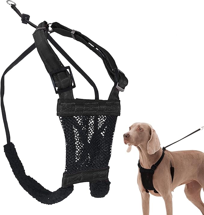 Sporn Large/XL No Pull Dog Harness for Large Dogs - Black Mesh Body, Durable Nylon, Breathable, Easy to Put On, No Choke, Padded, Adjustable, XL Dog Harness for Extra Large Breeds