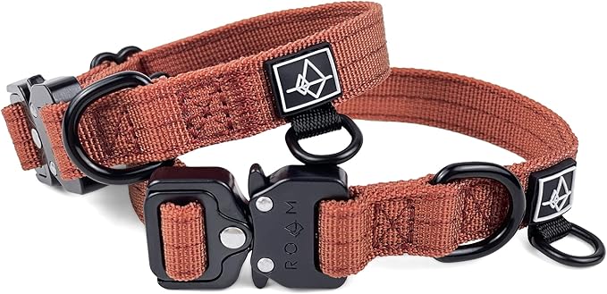 Made to ROAM Premium Dog Collar - Adjustable Heavy Duty Nylon Collar with Quick-Release Metal Buckle (Arizona Sunkissed, Classic Size 4)