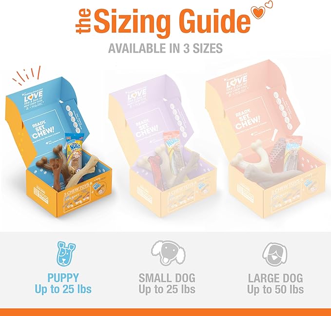 Nylabone Puppy Gift Box, Includes 3 Strong Chew Toys and 1 Natural Dog Treat, Gifts for Puppies, Small - Up to 25 lbs, 4 Pack