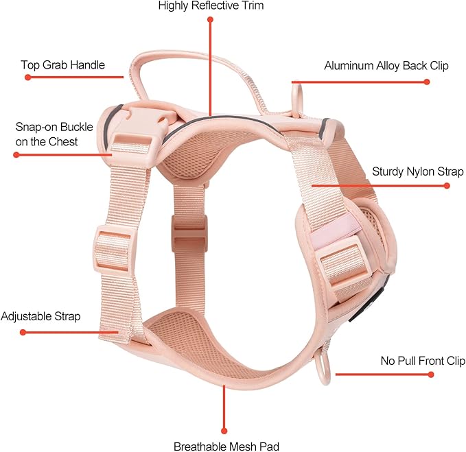 Petmolico Dog Harness for Small Dogs, Cute Harness Vest with Two Leash Clips and Soft Handle, Reflective Easy Walk Puppy Vest - Pink, Small