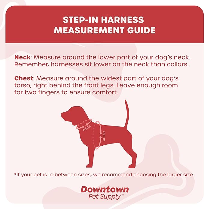 Downtown Pet Supply Step in Dog Harness for Small Dogs No Pull, Medium, Light Gray - Adjustable Harness with Padded Mesh Fabric and Reflective Trim - Buckle Strap Harness for Dogs
