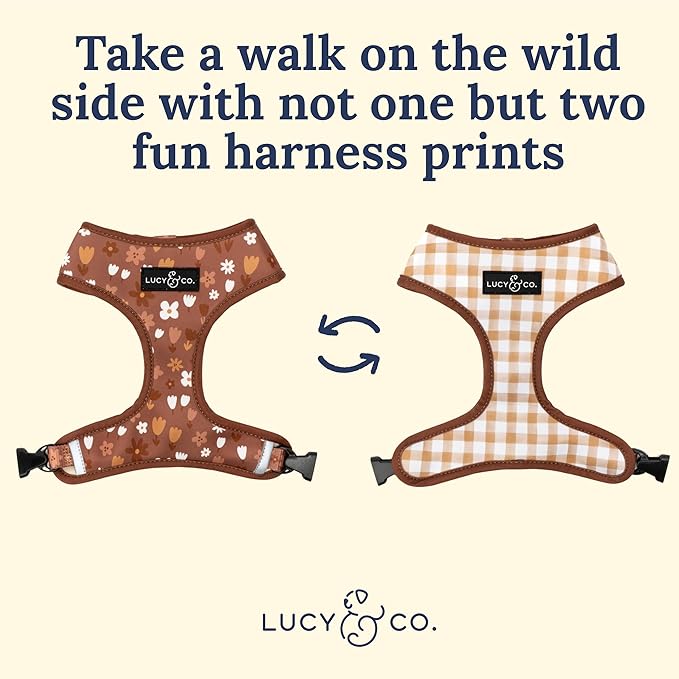 Lucy & Co. Cute Reversible Dog Harness Walking Halter - Best Designer Pet Harnesses for XS - XL Dogs - Padded Adjustable Vest for Easy Walking (Small, Chocolate Meadows - Brown & White Floral)
