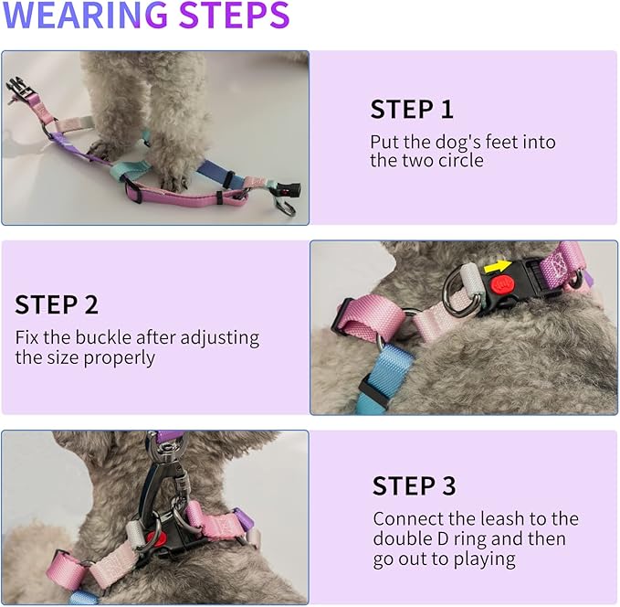 AIITLE Easy Walk Dog Harness Collar Leash Set - Adjustable Basic Collar Heavy Duty Leash - No Pull Halter Harness - Outdoor Training Running for Medium Dogs, Pink Gradient M