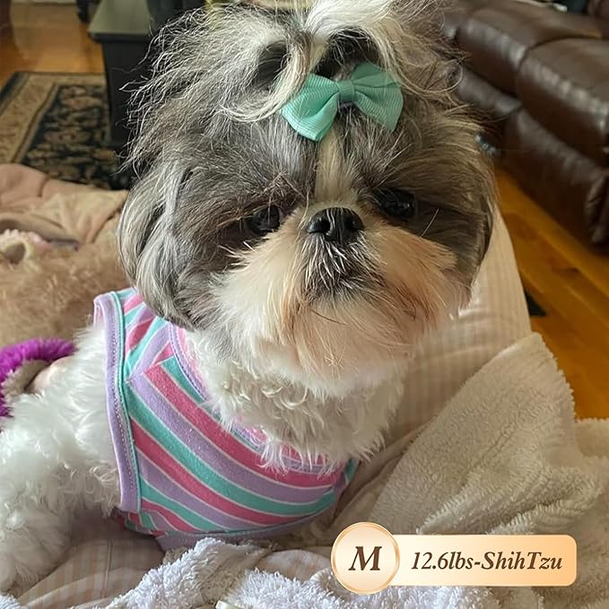 KYEESE 2Pack Dog Shirts Striped for Small Dogs Soft Stretchy T-Shirts Lightweight Tank Top Sleeveless Vest Breathable Cat Shirt, Medium, Orange+Green