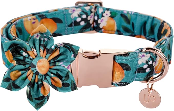 Dog Collar with Flower, Durable Comfortable Cotton Dog Flower Collar with Metal Buckle for X-Large Dog Girl, Summer Cute Dog Collar, XL