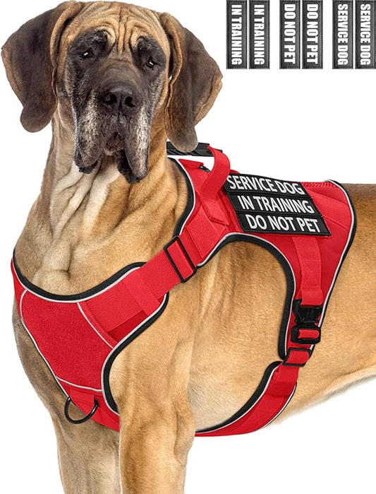 Reflective No Pull Service Dog in Training Vest Harness for Medium Large Dogs, Red Metal Buckles Front Clip Comfort Padded Adjustable Dog Harness with Do Not Pet Patches for Training Walking