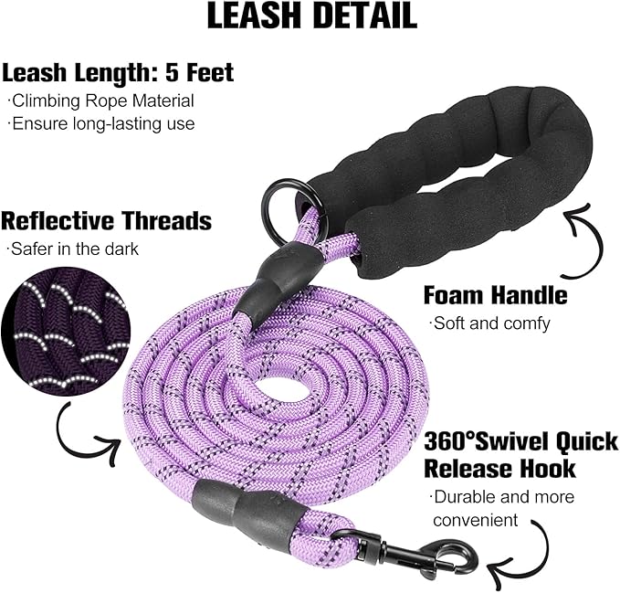 BEAUTYZOO Dog Harness and Leash Set for Small Dogs,No Pull Step-in Harness for Puppy XS S Sized Dogs and Cats,Air Mesh Adjustable Breathable Soft No Chock Escape Proof Vest Harnesses,Striped Purple XS