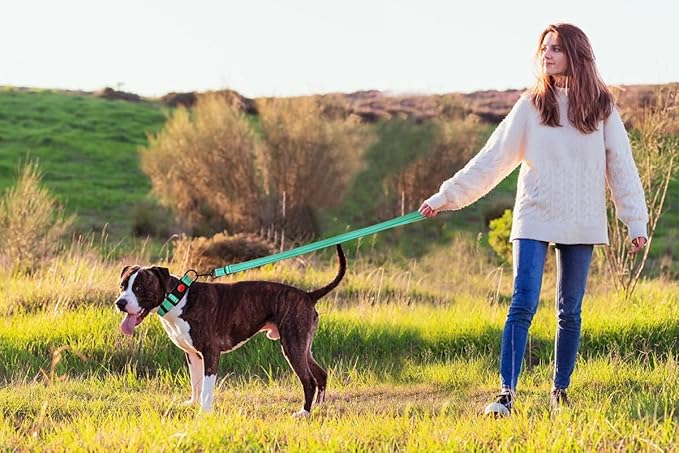 Reflective Dog Collar and Leash Set with Safety Locking Buckle Nylon Pet Collars Adjustable for Small Medium Large Dogs 3 Sizes(Mint Green&S)