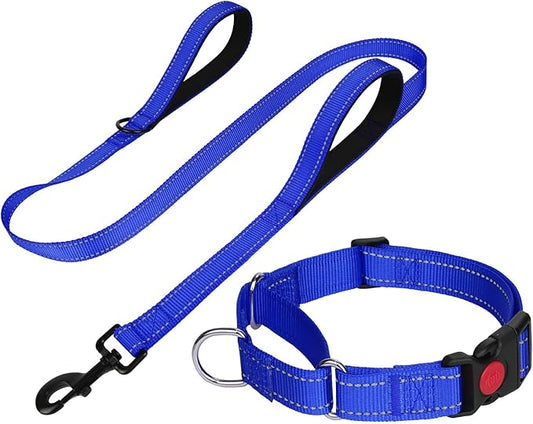 FunTags Reflective Martingale Collar for Dogs, Quick Release Buckle, 5FT Double Handle Dog Leash Padded, Dog Collar and Leash Set, Adjustable for Puppy Dogs (Navy Blue, XS)