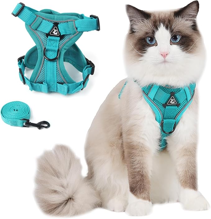 Cat Harness and Leash Set for Outdoor Walking, Upgraded Escape Proof Adjustable Kitten Vest with Lead for Small Cat, Soft Breathable Mesh Jacket with Reflective Strips for Dark Night, S, Green