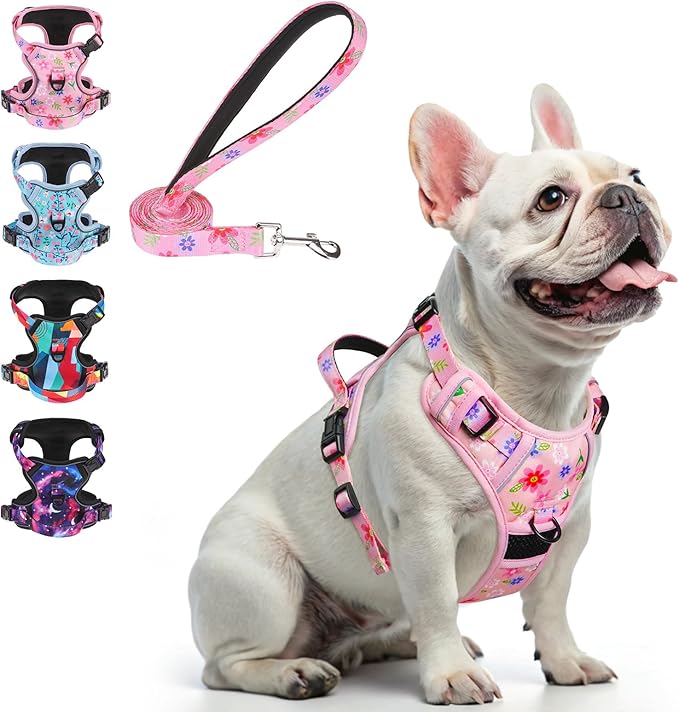 BEAUTYZOO No Pull Dog Harness Small, Adjustable Dog Harness and Leash Set -Easy Wearing with 3 Buckles/Control Handle,No Choke Soft Padded Reflective Pet Vest for Training Walking Hiking,Pink S