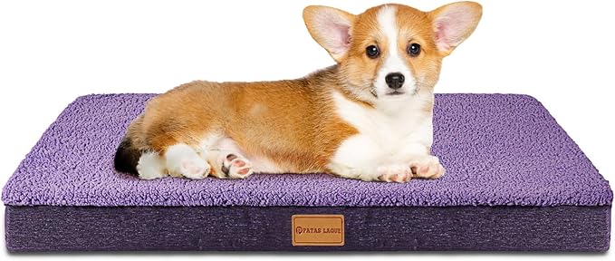 Patas Lague Orthopedic Dog Bed for Small Dogs, Soft Comfortable Waterproof Egg Crate Foam Small Pet Beds Mat with Removable Washable Cover, 20''X15'' Purple
