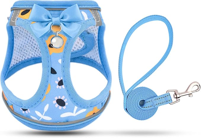 Cat Harness and Leash Escape Proof for Walking, Adjustable Soft Kitten Harness with Reflective Straps Step in Cat Vest Harness for Small Kitten and XS Dogs (Blue, XXS-Chest(8.7"-10.2"))