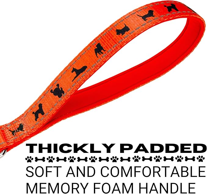 EcoBark Dog Leash - Soft & Reflective Comfort Training Leashes with Padded Handle - Strong Durable Heavy Duty - Training and Pulling for Small, Medium or Large Dogs (Orange)