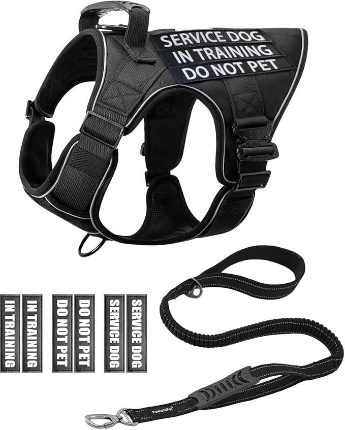 Reflective Service Dog in Training Vest Harness Leash Set for Medium Large Dogs, Adjustable Heavy Duty Black Padded Dog Harness, with Front Clip and Metal Buckles Do Not Pet for Training, Hiking