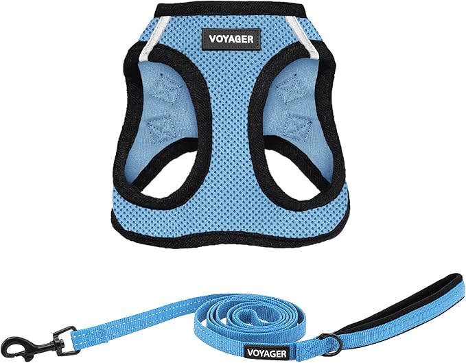 Voyager Step-in Air All Weather Mesh Harness and Reflective Dog 5 ft Leash Combo with Neoprene Handle, for Small, Medium and Large Breed Puppies by Best Pet Supplies - Blue, XXX-Small