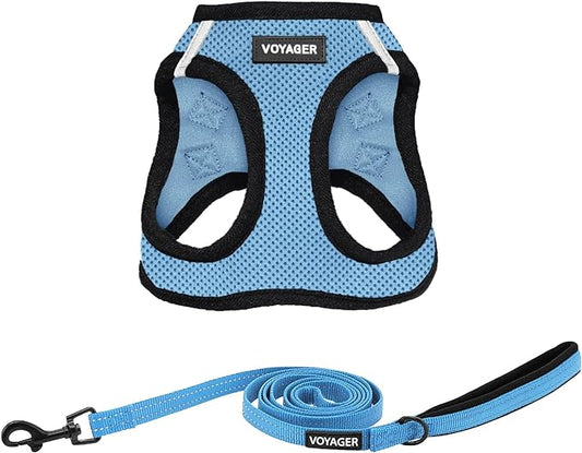 Voyager Step-in Air All Weather Mesh Harness and Reflective Dog 5 ft Leash Combo with Neoprene Handle, for Small, Medium and Large Breed Puppies by Best Pet Supplies - Blue, Medium