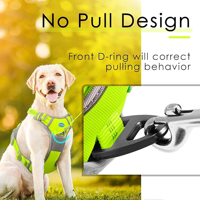 ThinkPet No Pull Harness Set Breathable Sport Harness with Handle - Reflective Padded Dog Safety Vest with Reflective Neon Dog Leash XL Harness Leash Pack Green