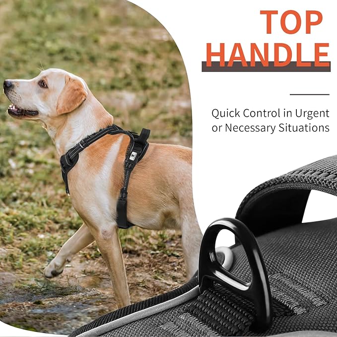 Dog Harness, No-Pull Pet Breathable Harness, Adjustable Soft Padded Dog Vest with 2 Leash Clips, Reflective No-Choke Pet, Easy Control Handle for Large Dogs, Black, XL