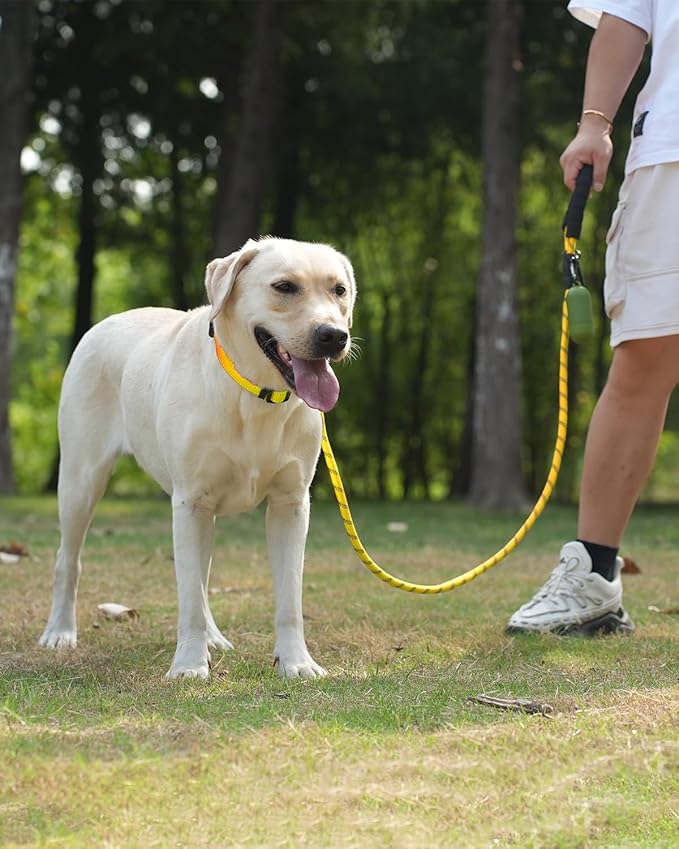 Joytale Reflective Dog Leash, Heavy Duty Nylon Rope with Poop Bag Holder, Highly Reflective Threads Leashes for Medium Large Dogs, Yellow, 5'×1/2''