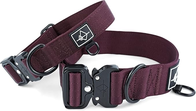 Made to ROAM Premium Dog Collar - Adjustable Heavy Duty Nylon Collar with Quick-Release Metal Buckle (Vermont Weekends, Classic Size 4)