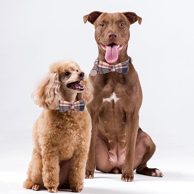 ADOGGYGO Soft Bowtie Dog Collar, Red Blue Plaid Pet Collar with Detachable Bow Tie Adjustable Plaid Collars for Small Medium Large Dogs Pets (Medium)