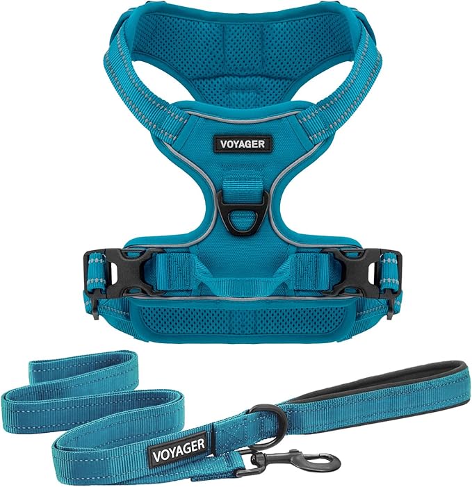 Dog Harness Dual Leash Attachment No-Pull Control Adjustable Soft but Strong Pet Harness for Medium and Large Dogs with 3M Reflective Technology - Harness Leash Set (Turquoise), M