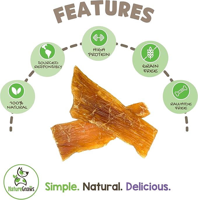Nature Gnaws Beef Paddywack Tendons for Dogs 5-6" (10 Count) - Long Lasting for Aggressive Chewers - Natural Beef Dog Chew Bones - Rawhide Free (Pack of 2)