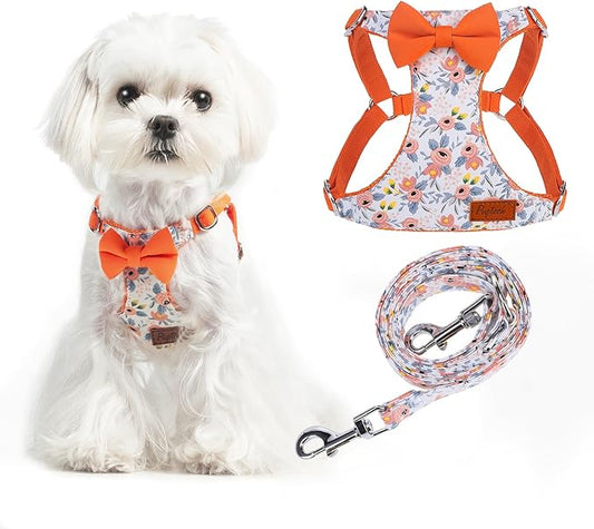 PUPTECK Dog Harness and Leash Set Small Sized, Step-in Cute Puppy Harness, Soft Lightweight Padded Vest, Escape Proof No Pull Pet Harnesses Easy for Walking, Flower Orange, XS