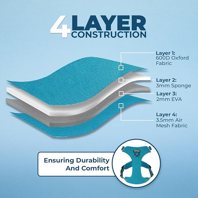 Dog Harness Dual Leash Attachment No-Pull Control Adjustable Soft but Strong Pet Harness for Medium and Large Dogs with 3M Reflective Technology - Harness Leash Set (Turquoise), XL