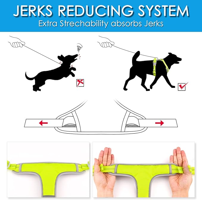 ThinkPet No Pull Harness Set Breathable Sport Harness with Handle - Reflective Padded Dog Safety Vest with Reflective Neon Dog Leash XL Harness Leash Pack Green