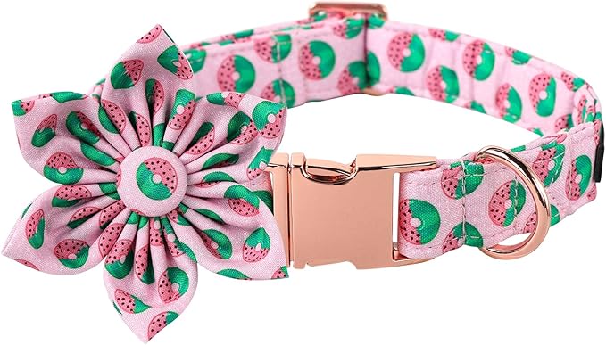 Lionet Paws Female Dog Collar with Flower, Soft Comfortable Adjustable Donut Collar for X-Large Dogs, Neck 16-26 inches