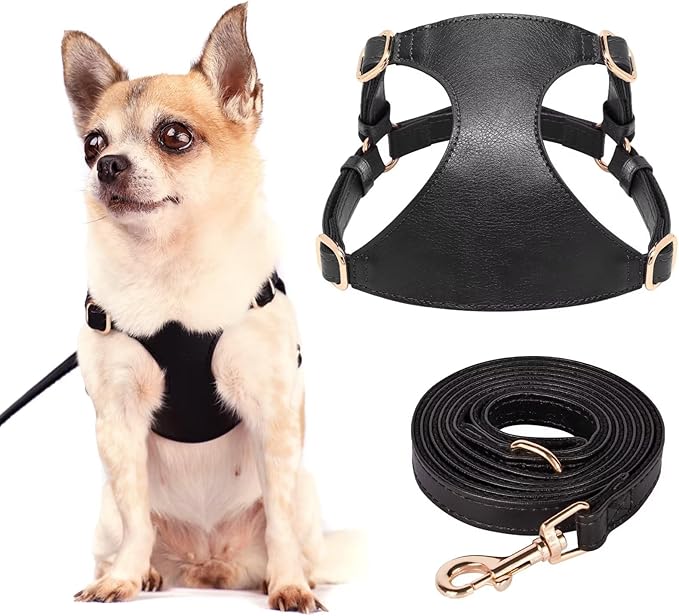 Didog Small Dog Harness and Leash Set, Soft & Lightweight Dog Vest Harness, Adjustable Leather Dog Harness for Small Dogs, Black, XS