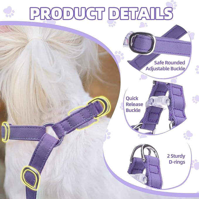 PUPTECK Dog Harness and Leash Set Small Sized, Step-in Cute Puppy Harness, Soft Lightweight Padded Vest, Escape Proof No Pull Pet Harnesses Easy for Walking, Flower Purple, S