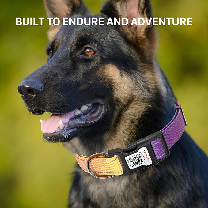 Reflective Dog Collars for Medium Dogs Soft Nylon Purple-Yellow Gradient Sized S