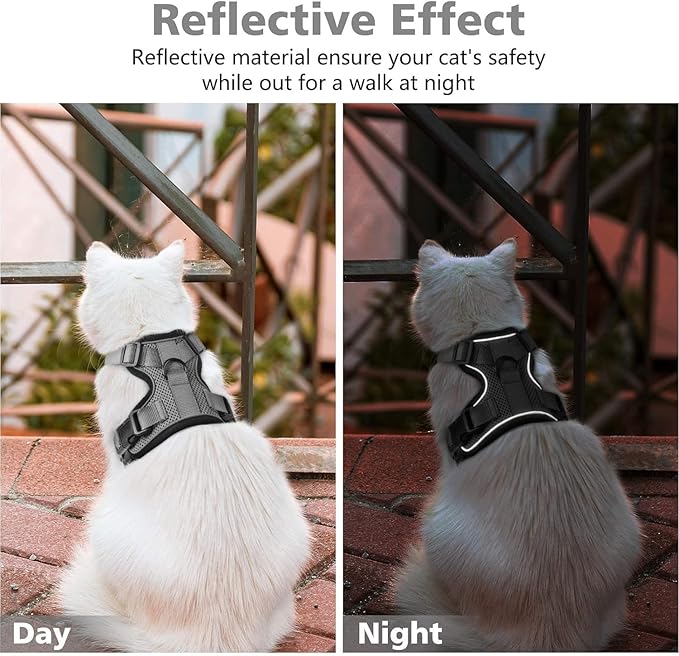 Dooradar Cat Harness and Leash Set, Escape Proof Safe Adjustable Kitten Vest Harnesses for Walking, Easy Control Soft Breathable Mesh Jacket with Reflective Strips for Cats, Grey, XXS