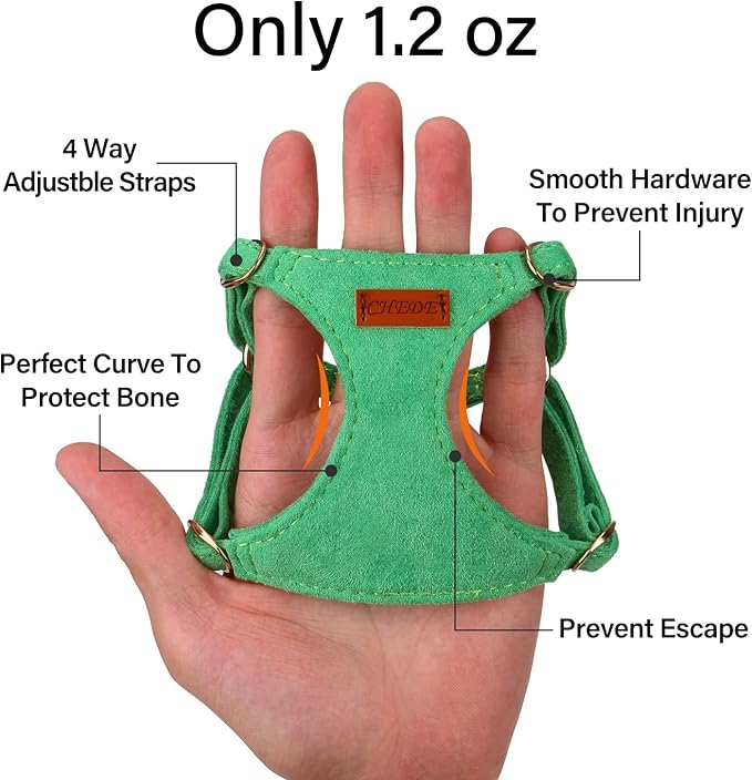 CHEDE No Pull Puppy Harness and Multifunction Dog Leash Set- 8 Colors Soft Adjustable No Choke Escape Proof Cute,Lightweight Pet Vest Harness for Small and Medium Dog (XS, Green)