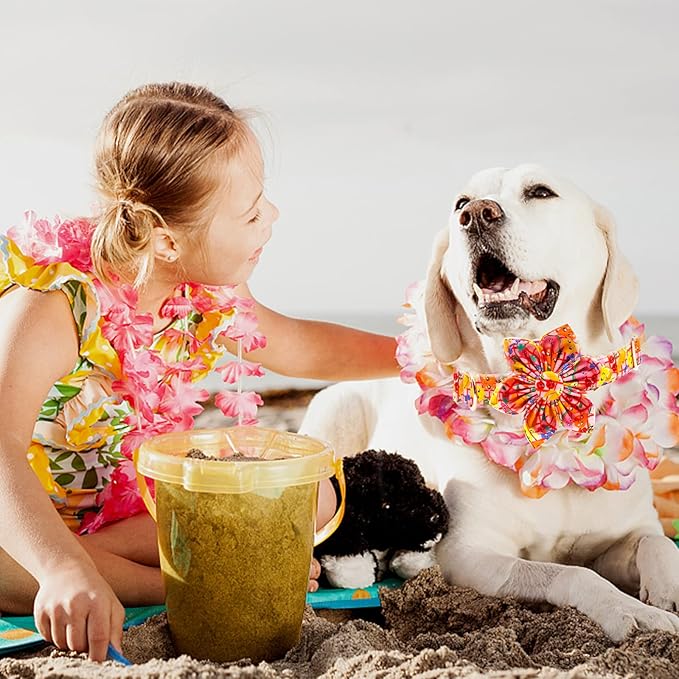 Elegant Little Tail Girl Dog Collar with Flower - Summer Flower Collar for Small to Large Dogs
