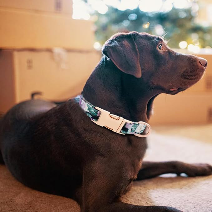 Dog Collar and Leash Set Girls Adjustable Puppy Collars with Floral Bow Tie for Small Medium Large Female Dogs, Purple Green Flower, XS