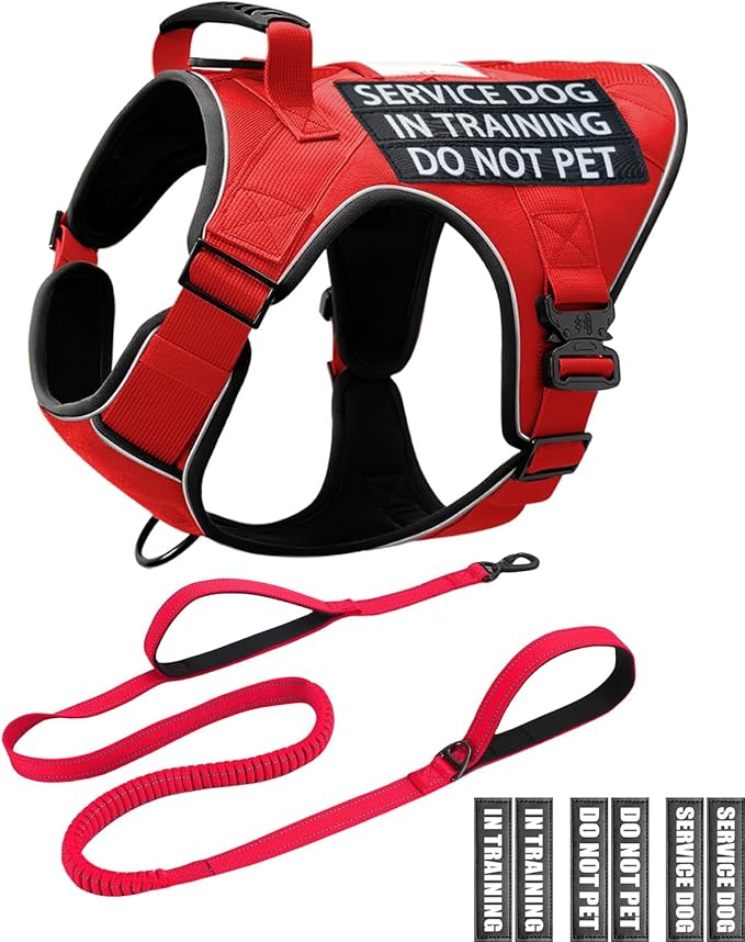 Reflective Red Service Dog in Training Vest Harness Leash Set for Medium Large Dogs, Adjustable Heavy Duty Padded Dog Harness, with Front Clip and Metal Buckles Do Not Pet for Training, Hiking