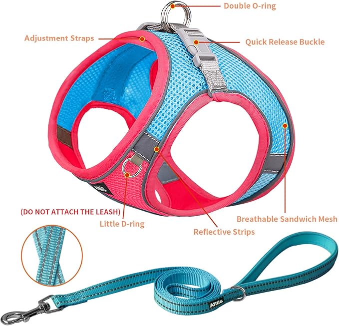 AIITLE Escape Proof Dog Harness - Step in Adjustable Dog Harness No Choke Over with Breathable Mesh and Quick-Release Buckle for Spring- Outdoor Walking, Camping, Training for Medium Dogs Hot Pink XL