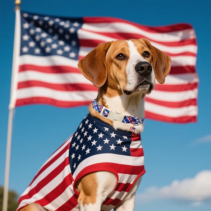 Plaid Cotton Dog Collar, Soft Checkered Patriotic Puppy Pet Collar with Plastic Buckle, Adjustable 4th of July Pet Collar for Small Medium Large Dogs