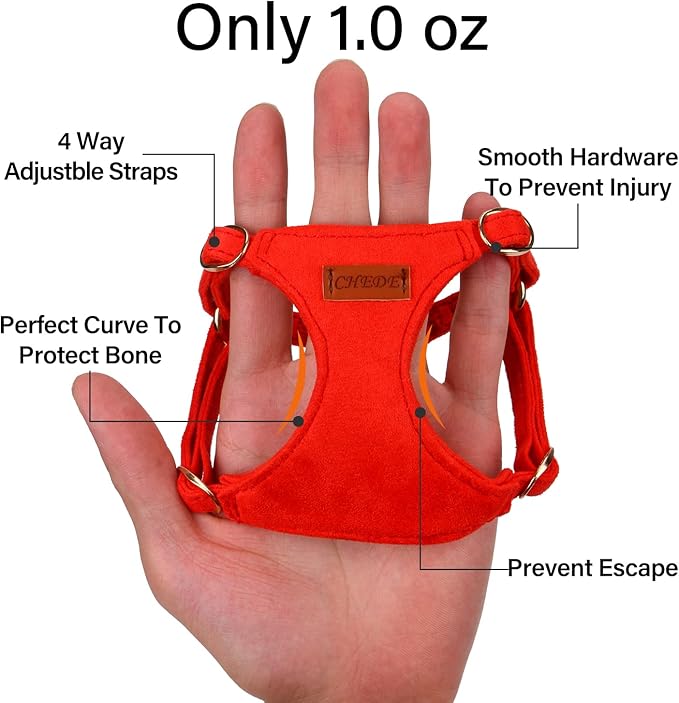 CHEDE No Pull Puppy Harness and Multifunction Dog Leash Set- 8 Colors Soft Adjustable No Choke Escape Proof Cute,Lightweight Pet Vest Harness for Small and Medium Dog (XXS, Red)