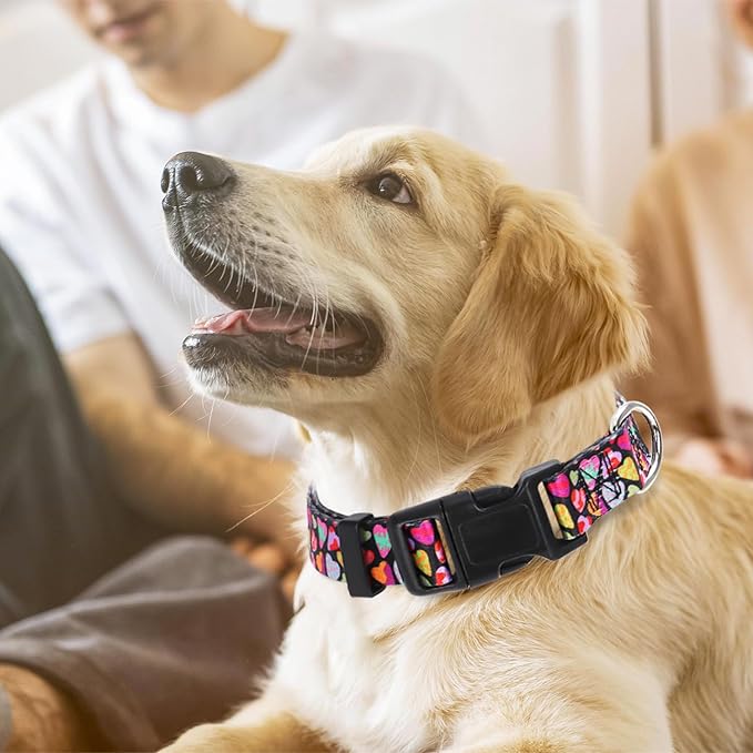 Dog Collar for Puppy Small Dogs with Love Hearts, Pink Girl Boy Dog Collar Adjustable Comfy Wedding Dog Collar with Safety Buckle for Small Medium Large Dog on Valentine's Day, Birthday (XS)